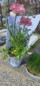 گلباران گلزار مطهر شهدای شهر زیاران