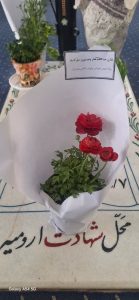 گلباران گلزار مطهر شهدای شهر زیاران